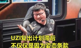 娱乐园爆料大佬是谁啊,是谁在幕后操控娱乐圈风云？