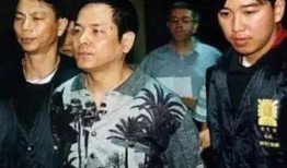 柬埔寨大佬爆料视频大全,视频大全揭秘真实内幕