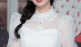 天涯爆料杨澜陈思思视频,揭秘娱乐圈背后的惊人真相