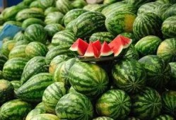 永年河北铺免费吃瓜,免费吃瓜狂欢，清凉一夏