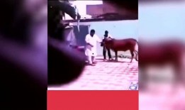 爆料搞笑视频合集,搞笑视频合集，笑点连连，欢乐无限