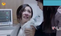 天注定在线观看完整版,揭秘命运交织的惊险旅程