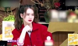 娱乐特大爆料解说视频,独家视频深度解析幕后真相