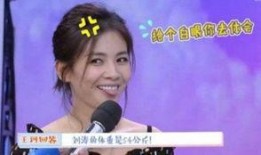 刘涛王珂最新爆料,揭秘夫妻档背后的甜蜜与挑战