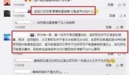 娱乐评论爆料怎么写,最新爆料背后的真相与内幕
