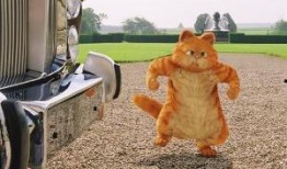 加菲猫二在线观看,欢乐再续，萌宠冒险新篇章