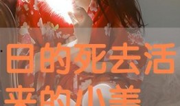 美 在线观看,美在线观看之旅