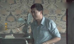 借枪在线观看,在线观看，揭秘神秘枪战背后的惊心动魄