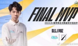 巴西老哥爆料视频在线,视频爆料背后的惊人真相