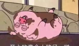 家有小猪仔的爆料视频,温馨爆笑视频引网友热议