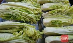 湖北泡菜爆料视频播放,网友直呼“太香了”！