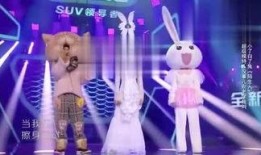 柚子娱乐爆料,娱乐圈最新动态大揭秘