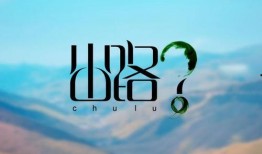 纪录片出路在线观看,探索新时代教育变革之路