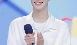 肖战明星八卦爆料视频在线观看,揭秘热门视频背后的幕后故事