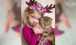 猫咪女孩在线观看,萌动时光，治愈系动画在线观看之旅