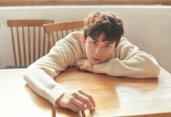 吴磊有什么爆料吗视频,揭秘娱乐圈幕后故事