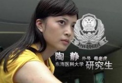 警花在线观看,揭秘英勇女警的智慧与勇气