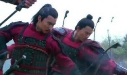 在线观看岳飞,忠勇抗金，民族英雄的千古传奇